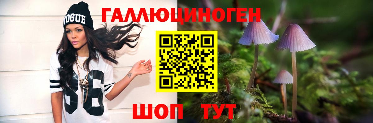 Галлюциногенные грибы Psilocybine cubensis Белая Калитва